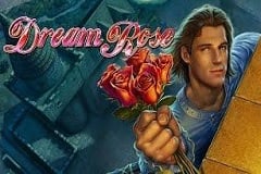 Dream Rose