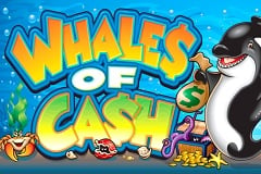Whales of Cash